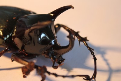 close-up man