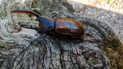 WP_20130725_045.jpg
