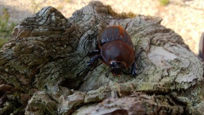 WP_20130725_084.jpg