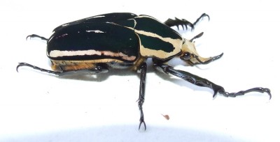 DSCF3859.JPG