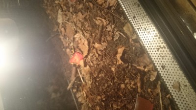IMG-20150612-WA0012.jpeg