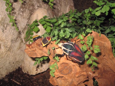 IMG_7174.JPG