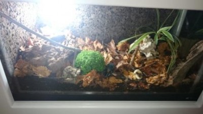 IMG-20151130-WA0014a.jpeg (26.07 KiB) 4035 keer bekeken Overzicht na bodem doorzoeken