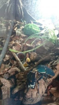 2a.jpg (20.71 KiB) 4035 keer bekeken Overzicht (zijkant) voor bodem doorzoeken