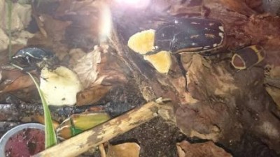 8a.jpg (23.21 KiB) 3805 keer bekeken Eethoekje