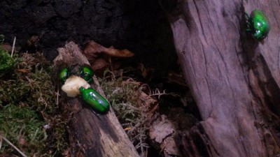 20151211_115425.jpg