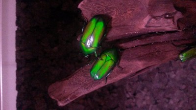 20151210_165540.jpg