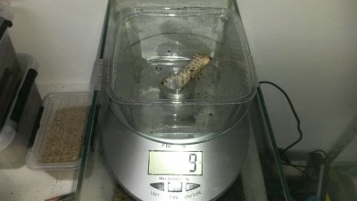 20160119_194222.jpg