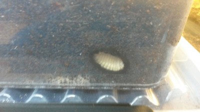 20160131_150057.jpg