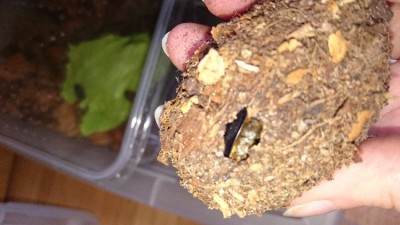 IMG-20160620-WA0000.jpeg