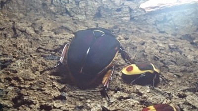 IMG-20160711-WA0001.jpeg