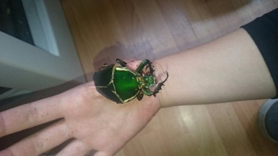 IMG-20170624-WA0005.jpeg