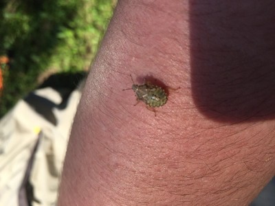 IMG_8608.JPG (165.12 KiB) 1854 keer bekeken IMG_8608.JPG