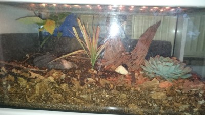 IMG-20180831-WA0016.jpeg