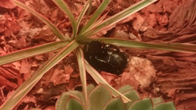 IMG-20180905-WA0024.jpeg