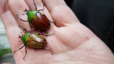 20181127_115545.jpg