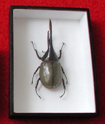 P3100004.jpg