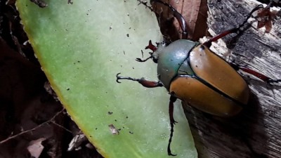 20190617_184407.jpg