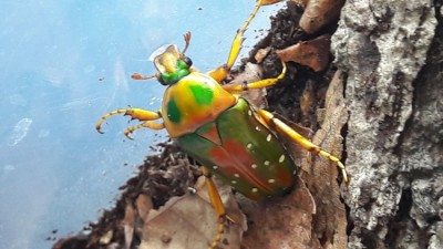20190724_121549.jpg