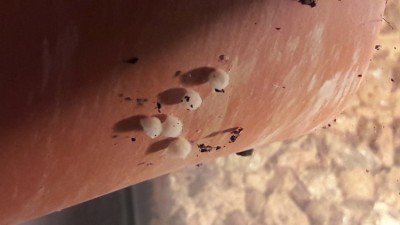 20190727_162930.jpg