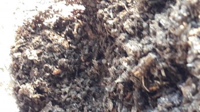 20190822_071316.jpg