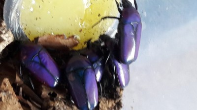 20190830_130643.jpg