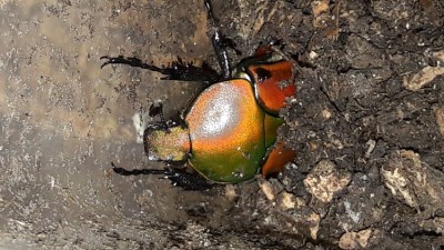 20190905_082641.jpg