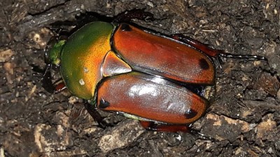 20190905_093539.jpg