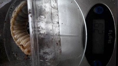 20190916_123637.jpg