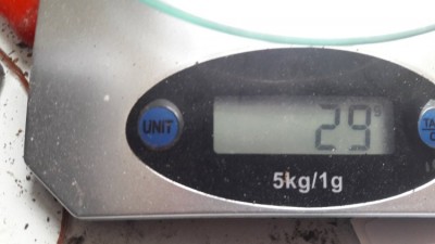 20190916_123652.jpg