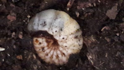 20190926_144436.jpg
