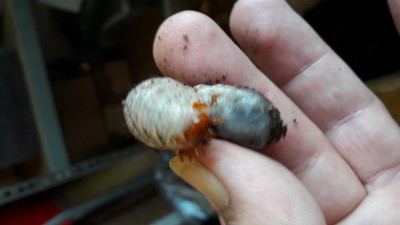 20190930_165237.jpg