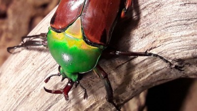 20191001_184839.jpg