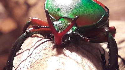 20191001_185119.jpg