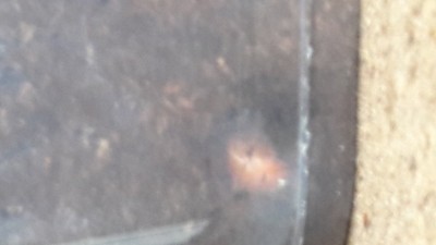 20191021_154305.jpg