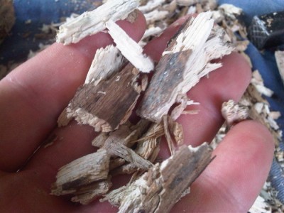 hout.jpg