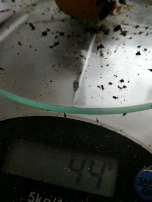 IMG_20200304_122430.jpg (83.16 KiB) 554 keer bekeken IMG_20200304_122430.jpg