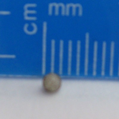ei.JPG (134.96 KiB) 1793 keer bekeken eitje pachnoda marginata peregrina