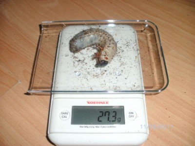 BILD0107.JPG