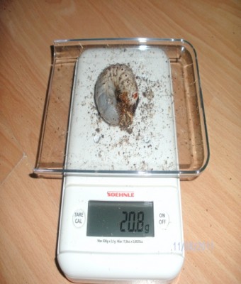 BILD0110.JPG