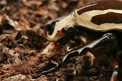 _MG_0752_.jpg