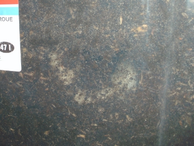 BILD0126.JPG
