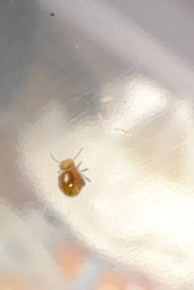 20250406_151231.jpg