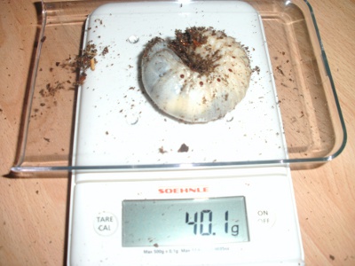 BILD0129.JPG