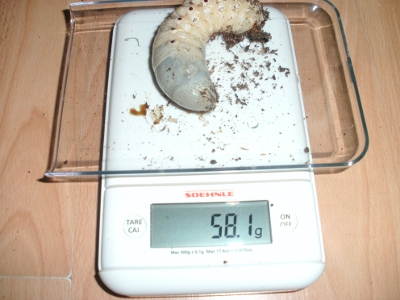 BILD0114.JPG