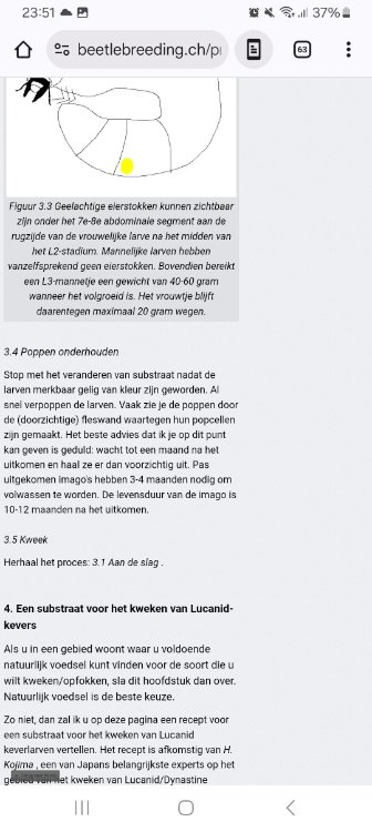 Screenshot_20250618_235125_Chrome.jpg