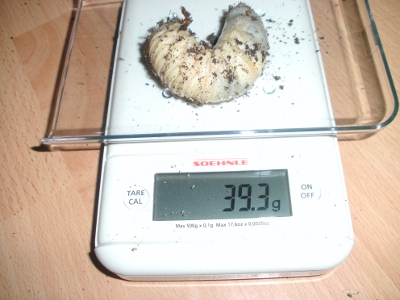 BILD0122.JPG