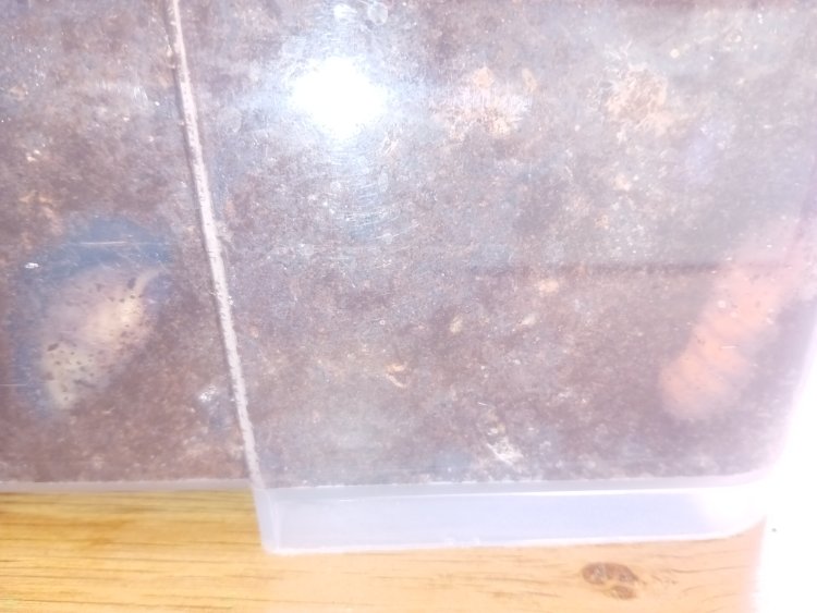 20250705_122536.jpg