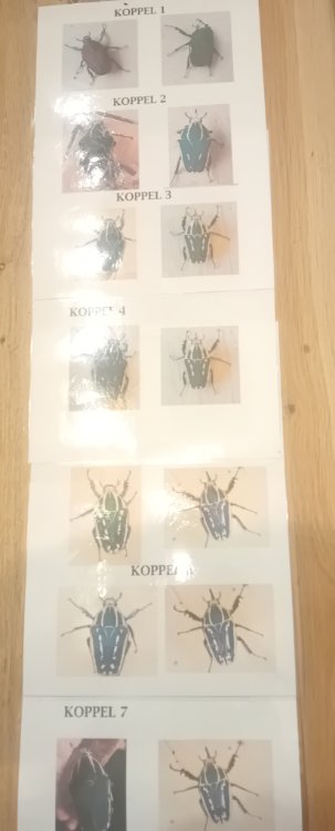 20250712_230848.jpg
