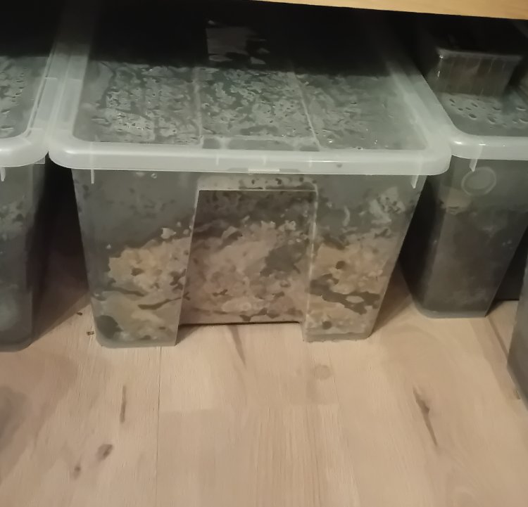 20250730_235335.jpg